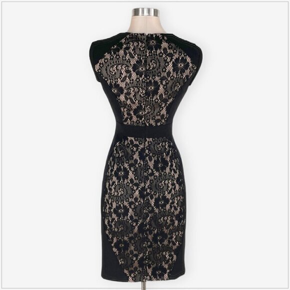 Adrianna Papell Black Lace Nude Panel Fitted Stretch Knit Cocktail Dress 2 - Picture 4 of 5